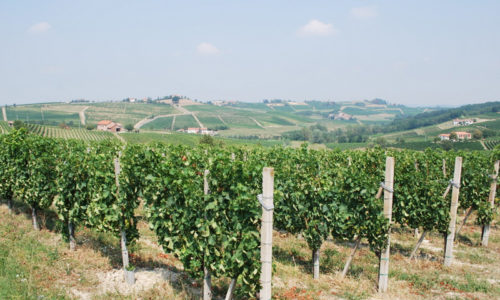 agriturismo_la_rossa_morsasco_piemonte_8